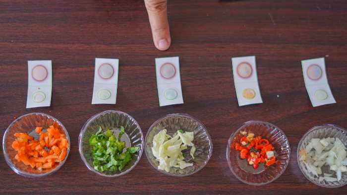 Uji bahan pangan di pasar kota kediri