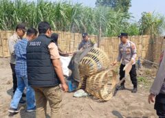 Polsek Kandat Gerak Cepat Gerebek Dugaan Perjudian Sabung Ayam