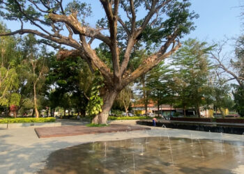 Keindahan Taman Kota Kediri Dan Peran DLHKP Kota Kediri