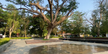 Keindahan Taman Kota Kediri Dan Peran DLHKP Kota Kediri