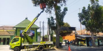 Antisipasi Musim Penghujan, DLHKP Kota Kediri Lakukan Pemangkasan Pohon Tepi Jalan