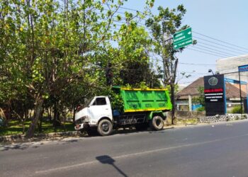 Antisipasi Dahan Pohon Berbahaya, DLHKP Kota Kediri Lakukan Pemangkasan