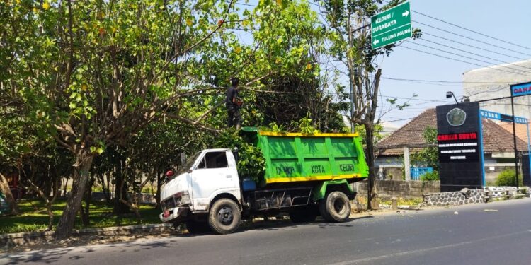 Antisipasi Dahan Pohon Berbahaya, DLHKP Kota Kediri Lakukan Pemangkasan