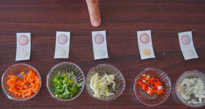 Uji bahan pangan di pasar kota kediri