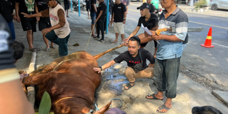 Berbagi berkah Idul Adha, PT Lisa Kediri Kurban 2 Sapi – 2 Kambing Untuk Warga Sekitar