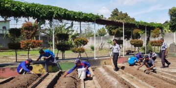 Mas Dhito Borkomitmen Selesaikan Persoalan Guru Honorer