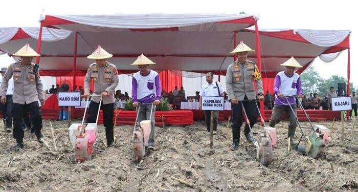 Dukung Ketahanan Pangan, Polres Kediri Kota Bersama Karo SDM Polda Jatim Tanam Jagung di Ketami