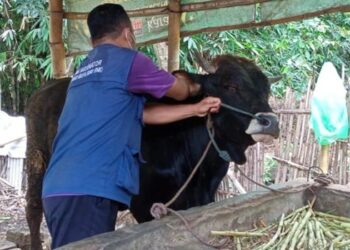 Nihil Kasus PMK, Pemkot Kediri Tetap Berkomitmen Gencarkan Vaksinasi