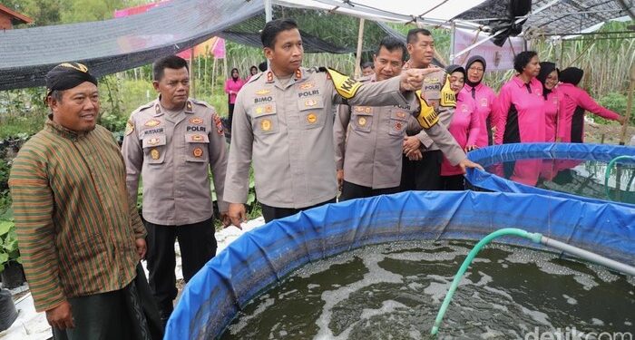 Polres Kediri Panen Jagung, Bersama Pemkab Kediri dan Mahasiswa