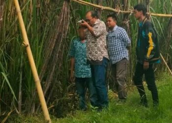 Siapkan Musim Giling 2025, PG Pesantren Baru Targetkan Giling Tebu 832.949 ton