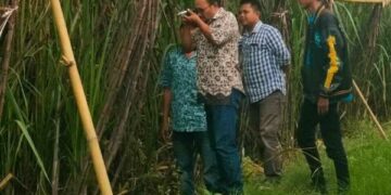Siapkan Musim Giling 2025, PG Pesantren Baru Targetkan Giling Tebu 832.949 ton