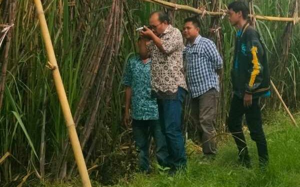 Siapkan Musim Giling 2025, PG Pesantren Baru Targetkan Giling Tebu 832.949 ton