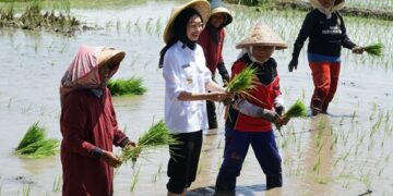 Mbak Vinanda dan Gus Qowim Bersama Forkopimda Silaturahmi ke Ulama, Mohon Doa dan Dukungan Bangun Kota Kediri