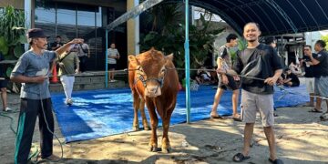 Royal Crown Music: Band Pengiring Happy Asmara yang Segera Hadirkan Gebrakan Karya!