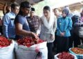 Wamendag dan Wali Kota Kediri Tinjau Pasar Grosir Ngronggo, Singgung Kolaborasi Revitalisasi
