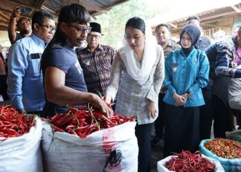 Sidak Pasar Setono Betek, Mbak Wali dan Dirut Bulog Pastikan Pendistribusian Beras SPHP