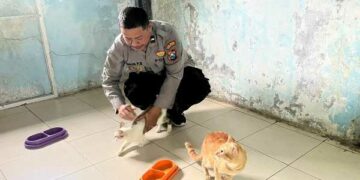 Sosok Polisi Penyayang Kucing Aipda Andik, Rawat Ratusan Kucing Terlantar di Kota Kediri