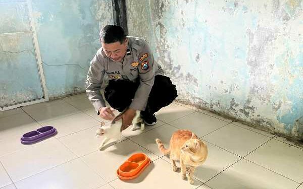 Sosok Polisi Penyayang Kucing Aipda Andik, Rawat Ratusan Kucing Terlantar di Kota Kediri