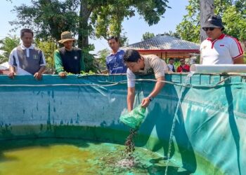 Dukung Pemberdayaan WBP dan Ketahanan Pangan, Kalapas Kediri Tebar 2.000 Bibit Lele