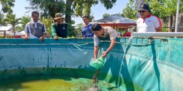Dukung Pemberdayaan WBP dan Ketahanan Pangan, Kalapas Kediri Tebar 2.000 Bibit Lele