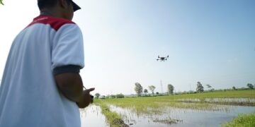 Respon Cepat Mas Dhito Tangani Lahan Padi Terendam Banjir di Purwoasri