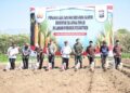 Ikuti Gerakan Penanaman Jagung Bersama Santri Serentak di Lahan Ponpes, Gus Qowim Dukung Program Ketahanan Pangan Nasional