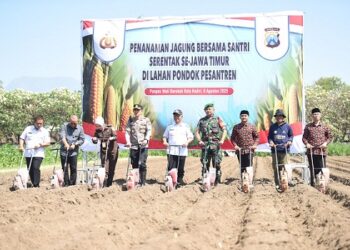 Ikuti Gerakan Penanaman Jagung Bersama Santri Serentak di Lahan Ponpes, Gus Qowim Dukung Program Ketahanan Pangan Nasional