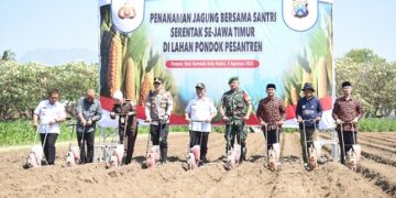 Ikuti Gerakan Penanaman Jagung Bersama Santri Serentak di Lahan Ponpes, Gus Qowim Dukung Program Ketahanan Pangan Nasional