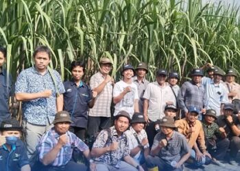 BPBD Kediri Bergerak Cepat Bantu Korban Angin Kencang di Besowo