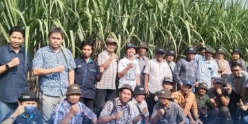 BPBD Kediri Bergerak Cepat Bantu Korban Angin Kencang di Besowo