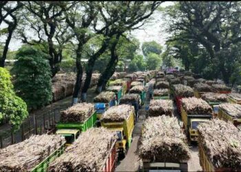 Bakal Kembali Cetak Sejarah, PG Ngadiredjo Optimistis Giling Tebu 10 Juta Kuintal