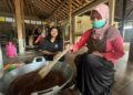 Hadapi Tantangan, Desa Wisata Nglanggeran Andalkan Inovasi Wisata dan Jati Dari