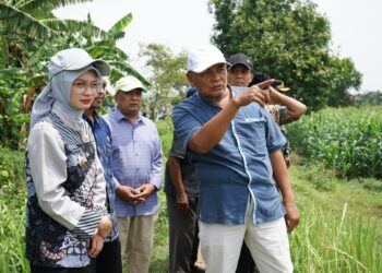 Mbak Wali Tinjau Kesiapan Lahan Untuk Urban Farming di Dua Kelurahan