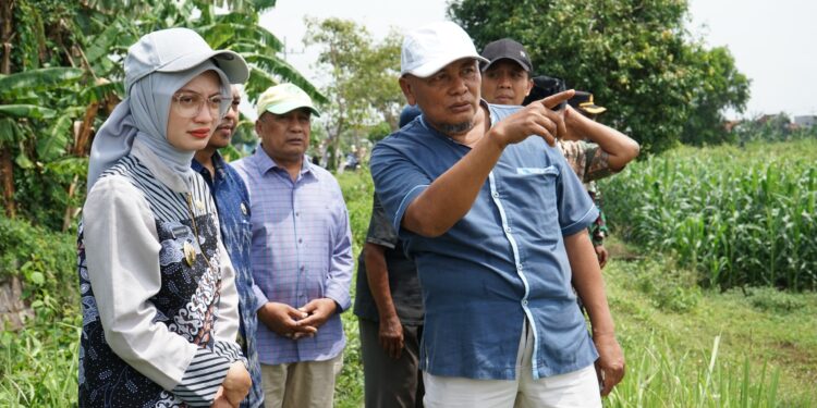 Mbak Wali Tinjau Kesiapan Lahan Untuk Urban Farming di Dua Kelurahan