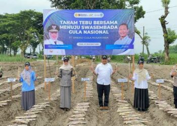 Sukseskan Swasembada Gula Nasional, PG Ngadiredjo – Kabupaten Kediri Tanam Tebu Serentak