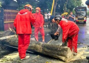 Hujan Lebat dan Angin Kencang Tumbangkan Pohon di 15 Titik Kota Kediri