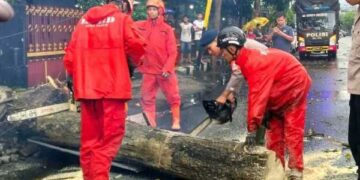 Hujan Lebat dan Angin Kencang Tumbangkan Pohon di 15 Titik Kota Kediri