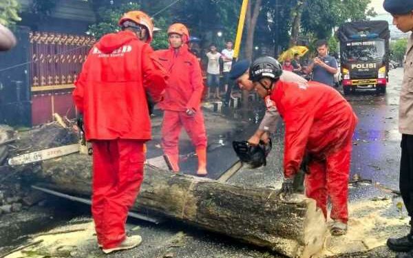 Hujan Lebat dan Angin Kencang Tumbangkan Pohon di 15 Titik Kota Kediri