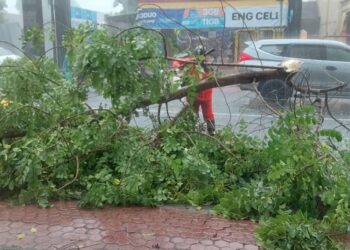 BPBD Kota Kediri Tangani Pohon Tumbang dan Kabel Putus di 4 Lokasi, Akibat Angin Kencang