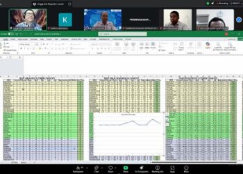 Dorong Digitalisasi Statistik Sektoral di Kalangan ASN, Diskominfo Hadirkan Webinar Visualisasi Data Menggunakan Excel