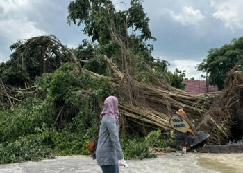 Pohon Tumbang Timpa SMA Negeri 3 Kediri, Tiga Ruang Kelas Rusak