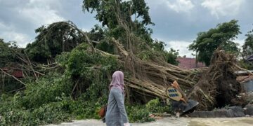 Pohon Tumbang Timpa SMA Negeri 3 Kediri, Tiga Ruang Kelas Rusak
