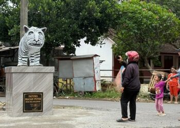 Viral, Macan Putih Balongjeruk Jadi Buruan Untuk Berfoto