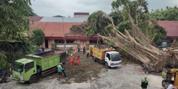 DLHKP Kediri Bersama BPBD dan PUPR Bersihkan Pohon Tumbang di SMA 3