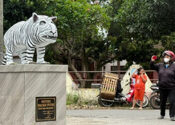 Kaos dan Stiker Macan Putih Laris Manis di Desa Balongjeruk