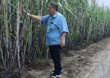 Rutin Tinjau Lapangan, GM PT SGN MKSO Kebun Dhoho Pastikan Hal Berikut