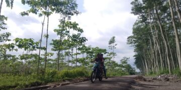 TMMD ke-127 Kodim 0809/Kediri Bangun Jalan Tembus 1,657 Meter, Progres 60 Persen