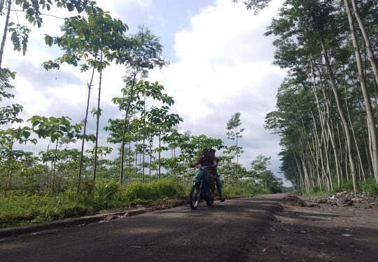 TMMD ke-127 Kodim 0809/Kediri Bangun Jalan Tembus 1,657 Meter, Progres 60 Persen