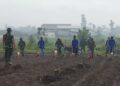 Sinergi TNI, Pemkab, dan Petani Perkuat Ketahanan Pangan Nasional Lewat Tanam Jagung