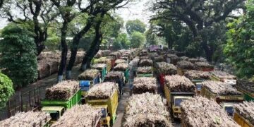 Serap Ribuan Tenaga Kerja, PG Ngadiredjo Gerakkan Roda Perekonomian Kabupaten Kediri